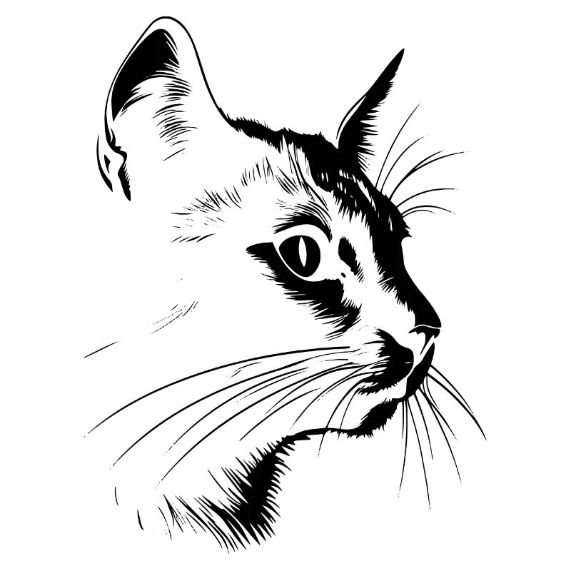 Katze, katzenmotiv