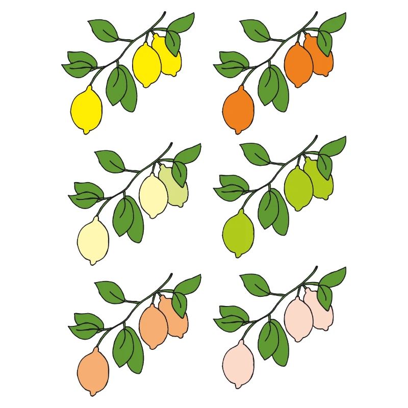 zitrusfruechte zweige