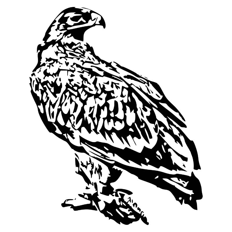 Wanderfalke, Raubvogel