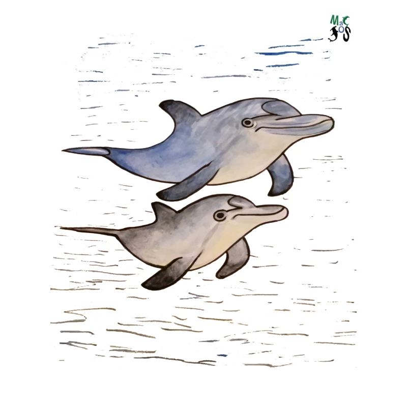 MacJos Taucher-T-Shirt: Delphin-Comics