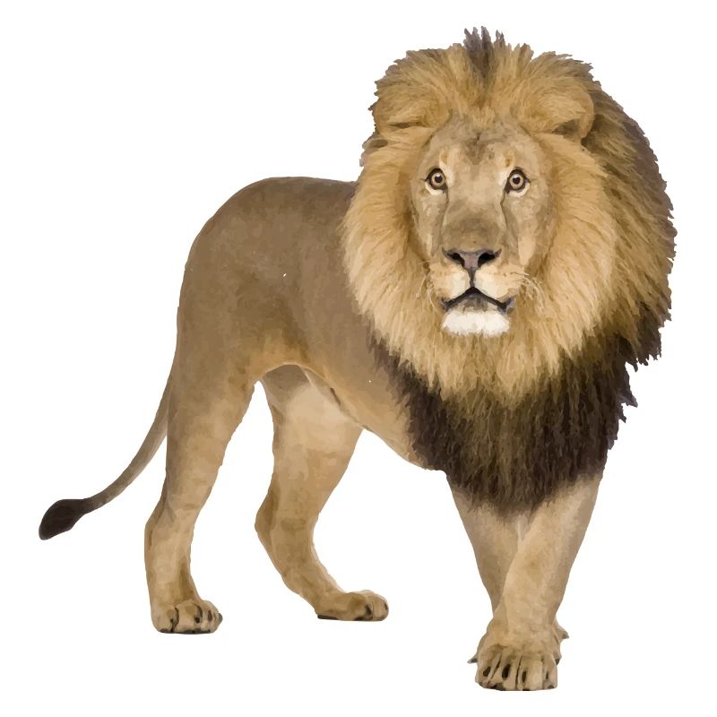 Löwe