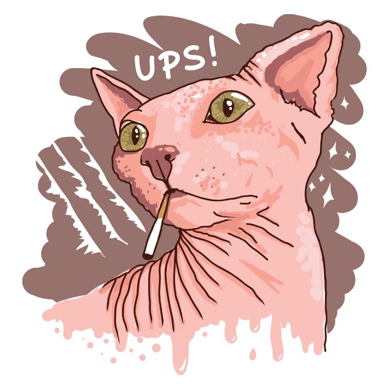 chat sphynx avec cigarette