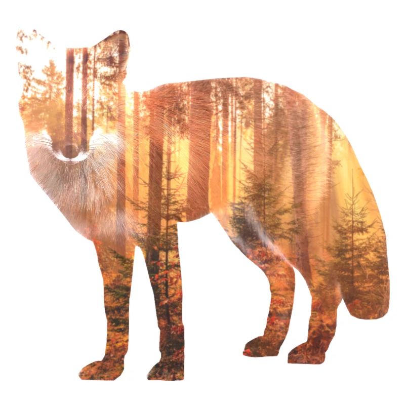 Fuchs Wald Geschenk Geschenkidee