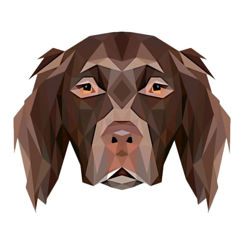 Little Münsterländer