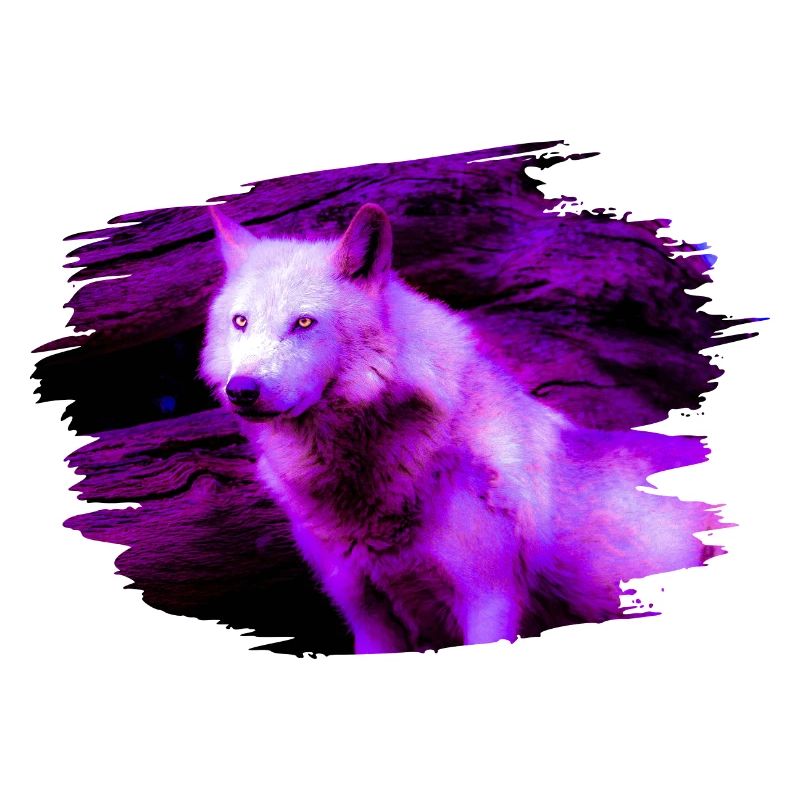 wolf