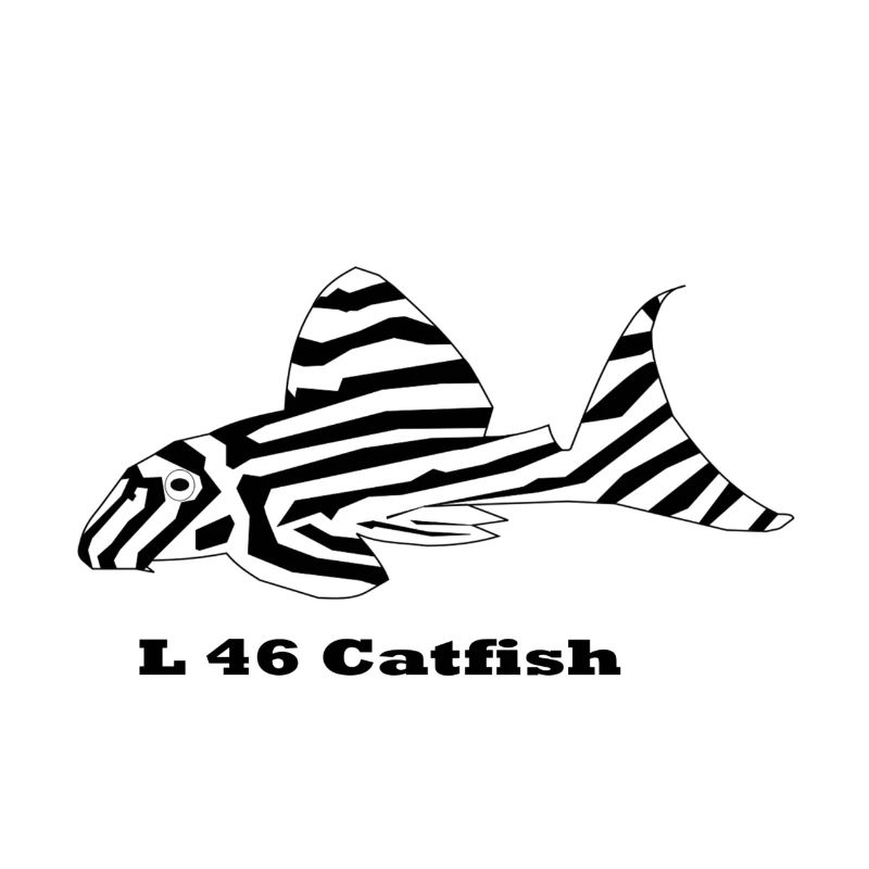 L46 catfish