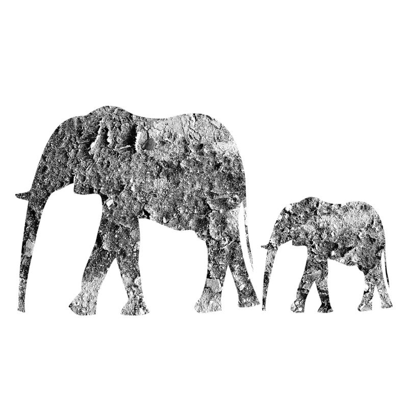 elephants
