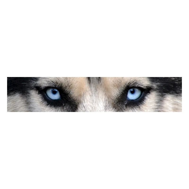 Yeux Husky
