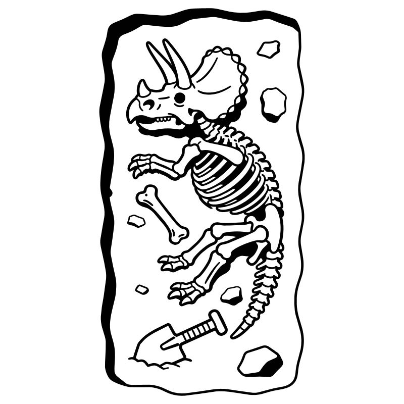 Triceratops Bones