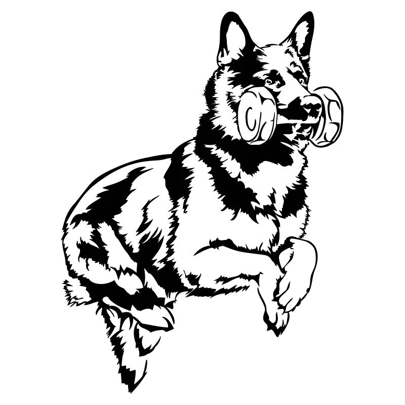 DEUTSCHER SCHÄFERHUND Sprung Wilsigns