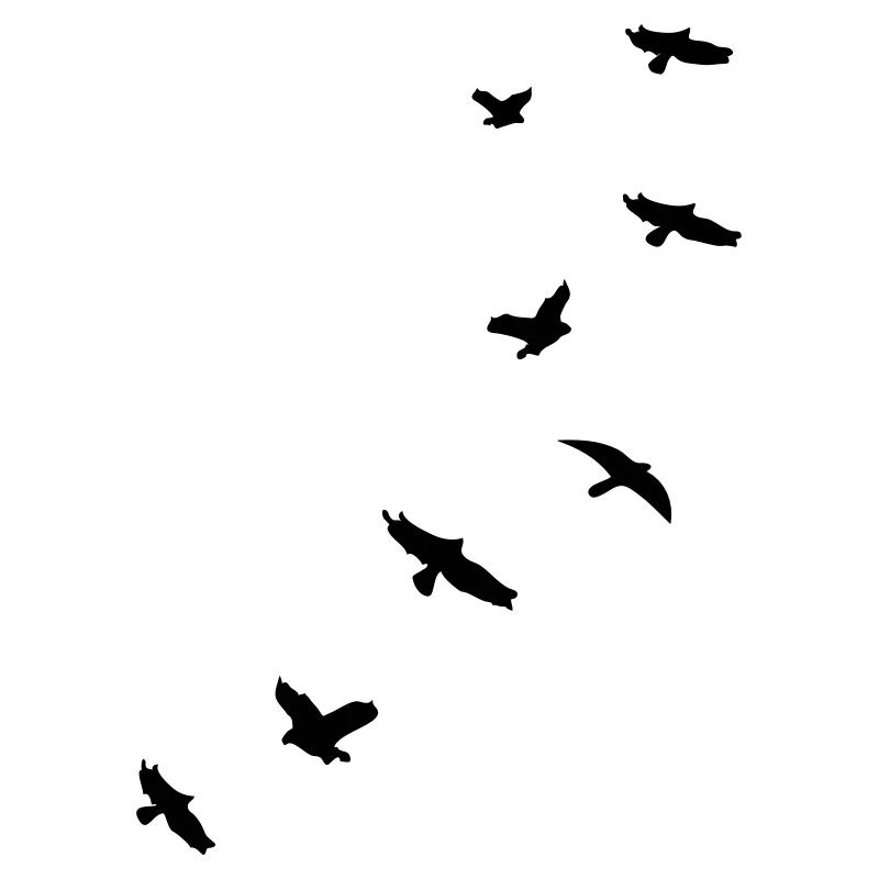 flying_birds_mapies