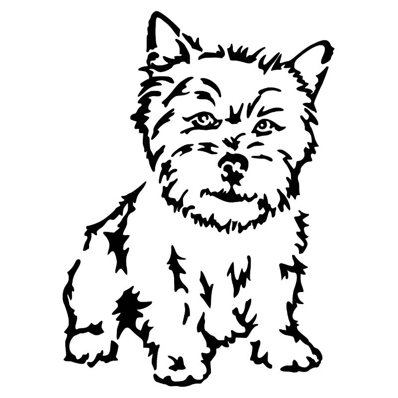 Terrier