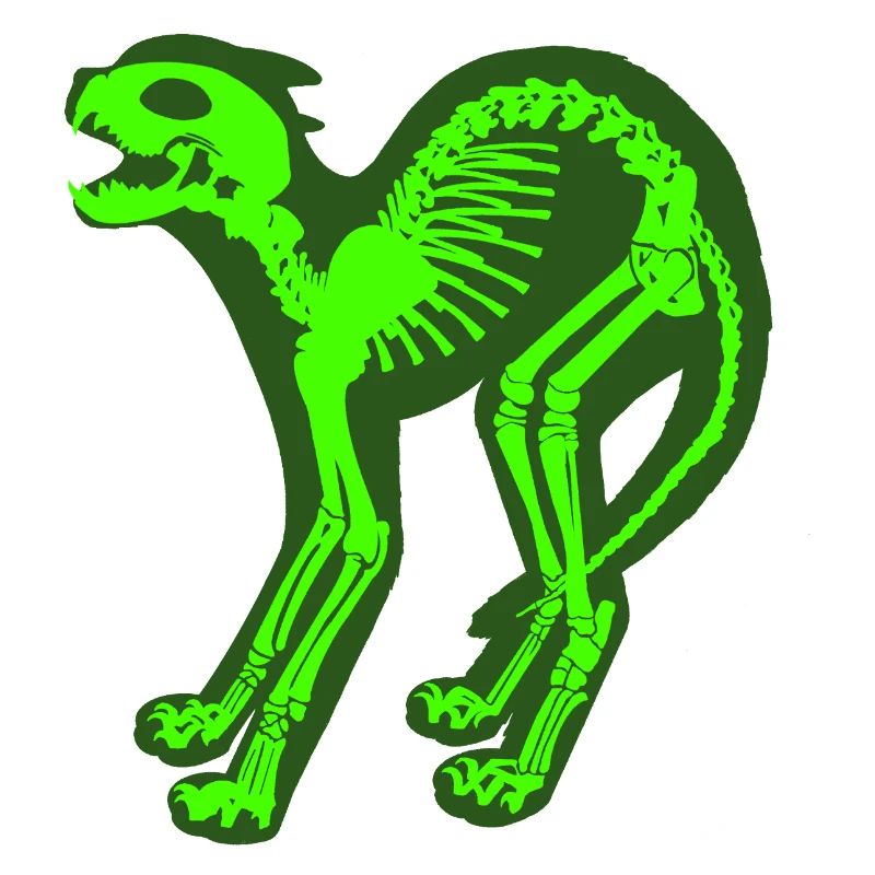 Skeleton Cat