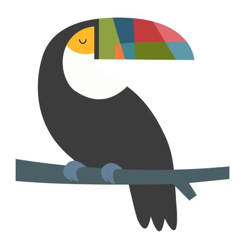 kunterbunter Tucan