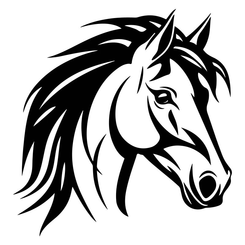 Pferd Kopf