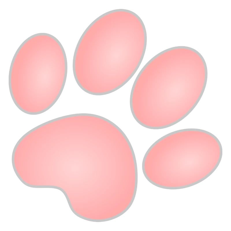 Katzenpfote, rosa