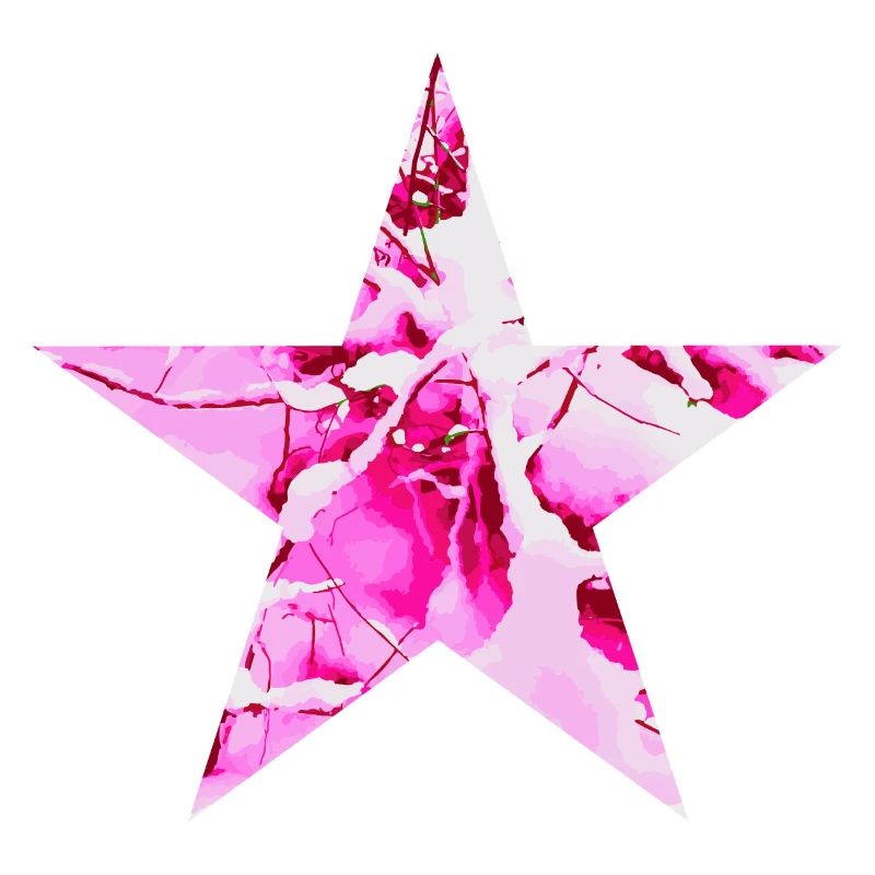 Star Winter Snow