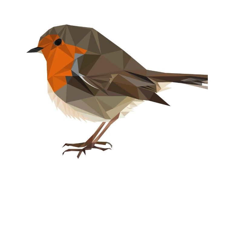 Polygon-style robin - native bird