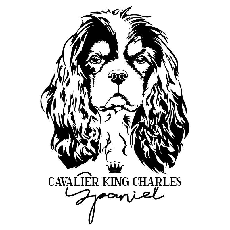 CAVALIER KING CHARLES SPANIEL hundehund Wilsigns