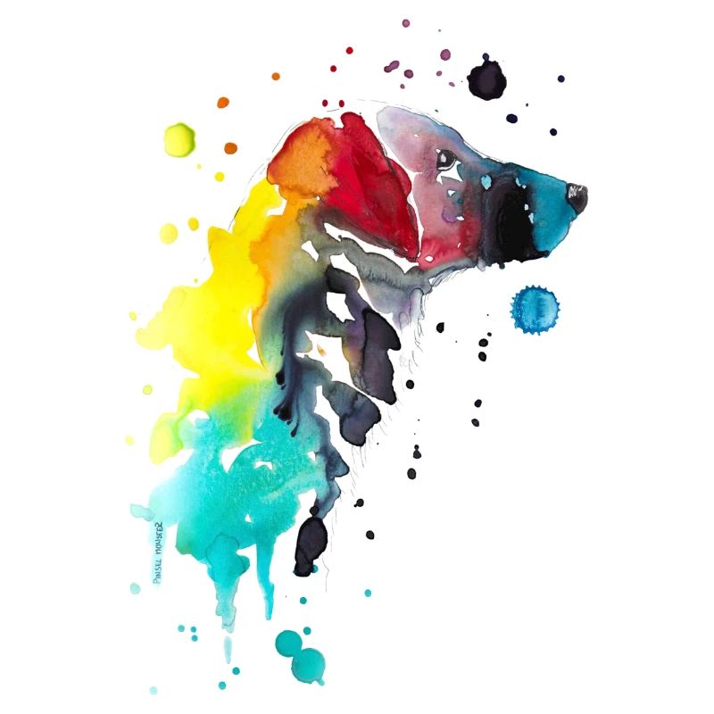 Flat Coated Retriever