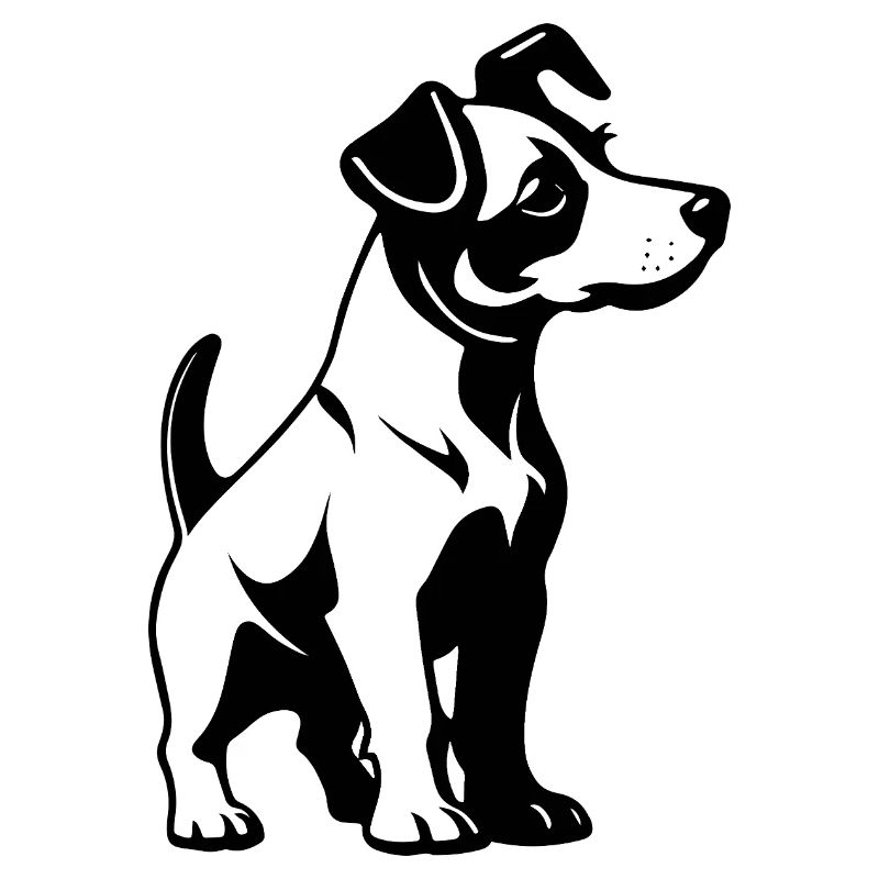 Jack Russell Terrier - Conception de chien de compagnie
