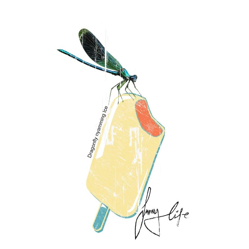 dragonfly