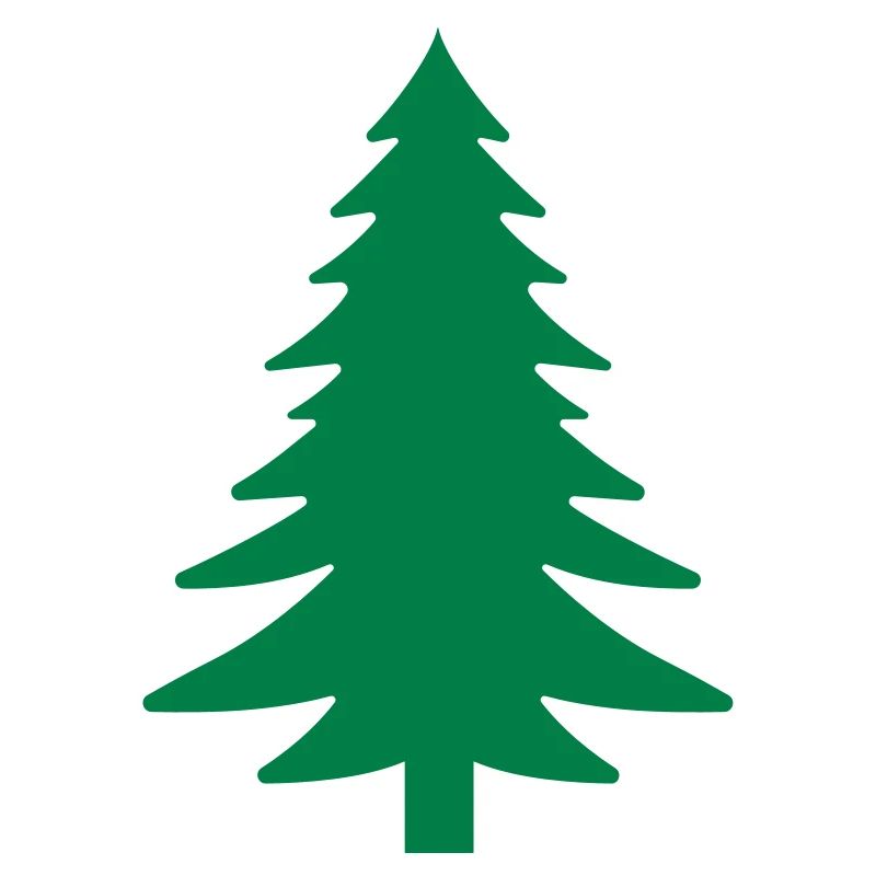 Fichte, Tanne, Wald