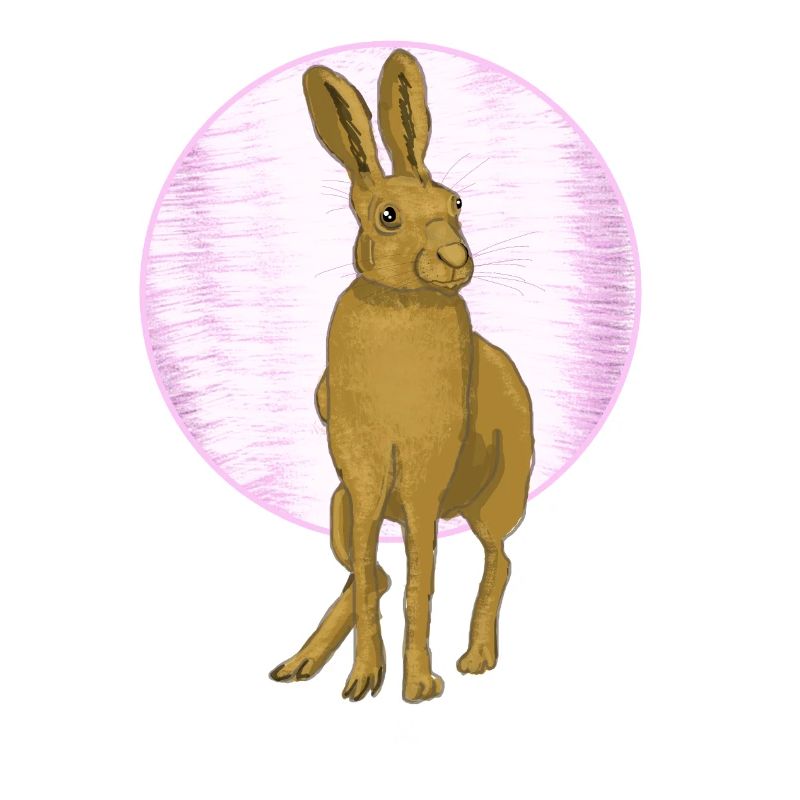 Hare Moon