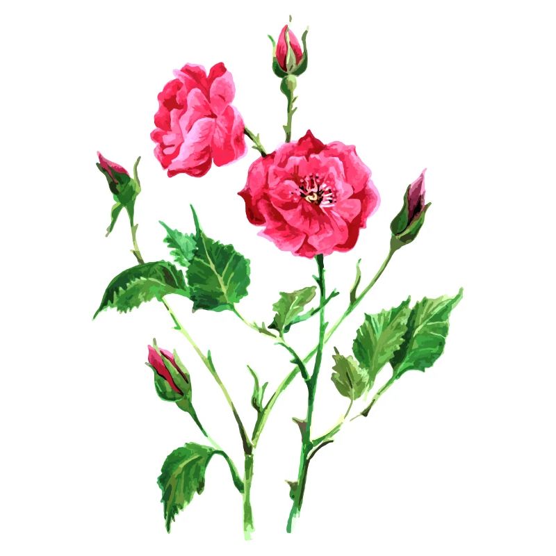 Blumen