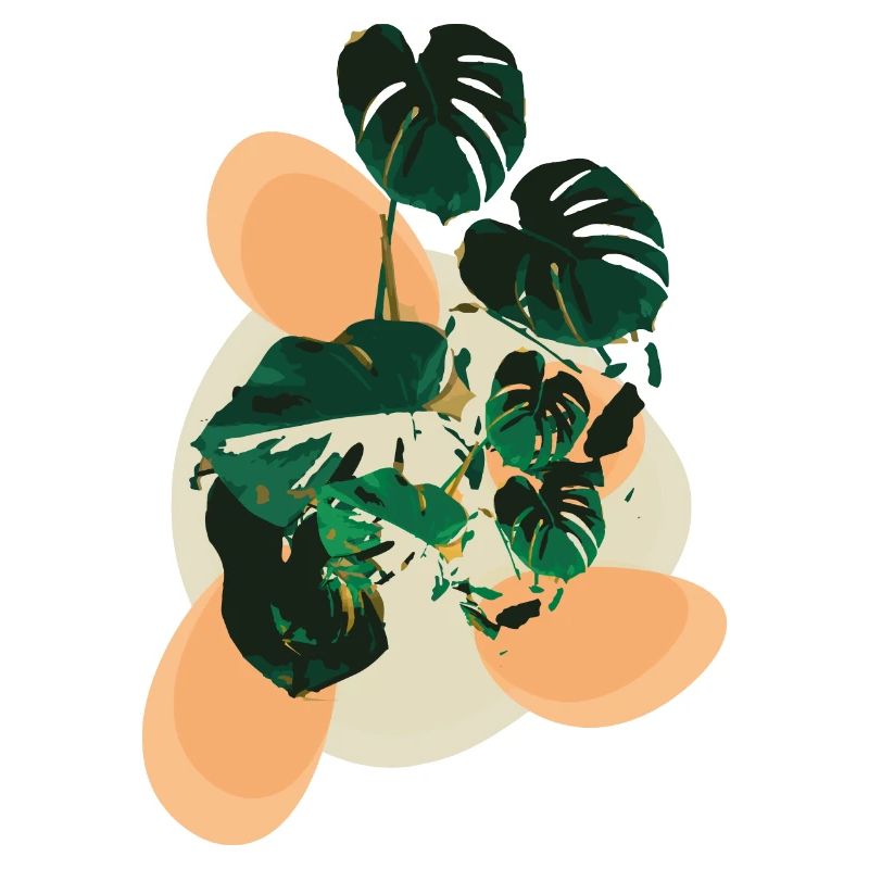 Monstera Flavour