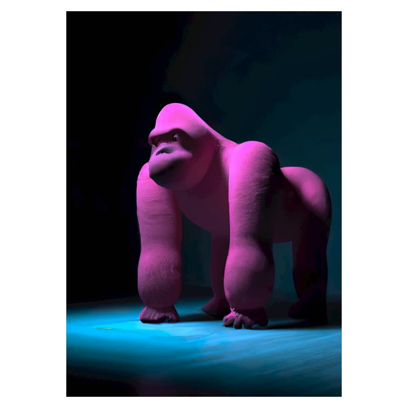Rosa Gorilla