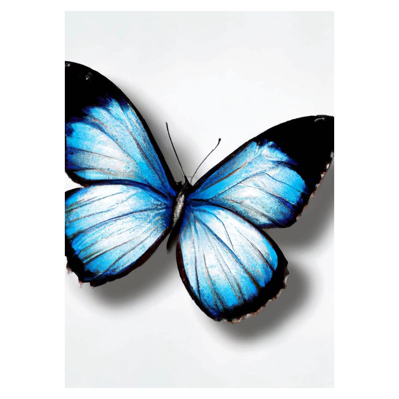 Blauer Schmetterling