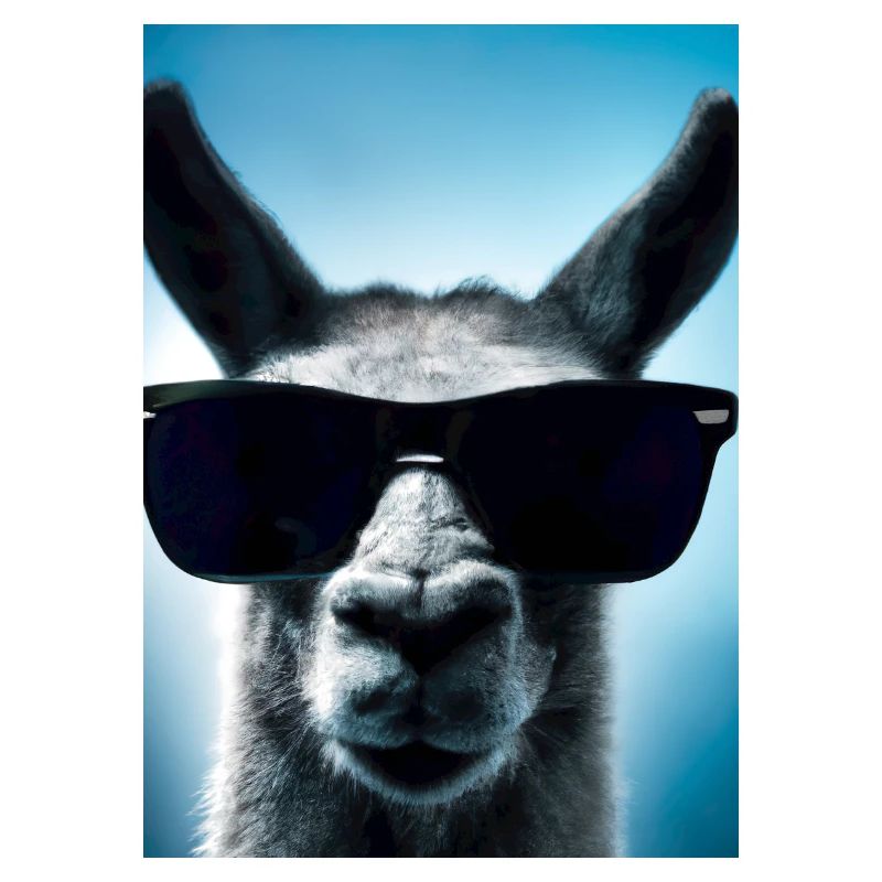 Lama mit Sonnenbrille