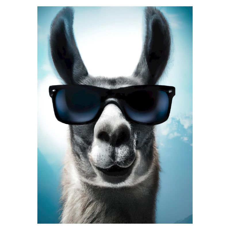 Lama mit Sonnenbrille