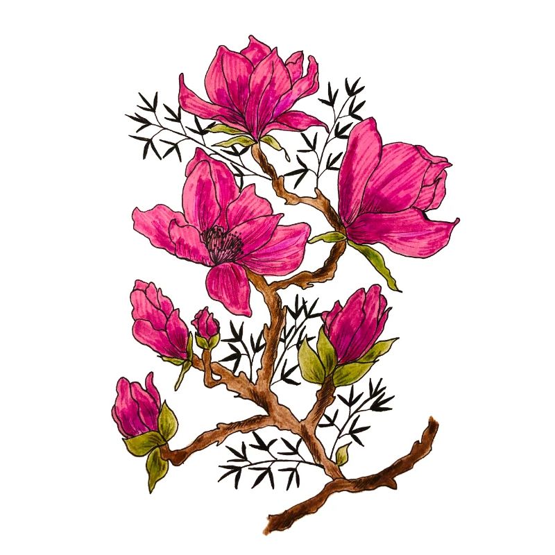 Magenta Magnolia Blütenzauber