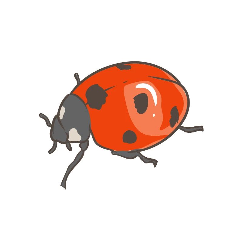 Team Ladybug