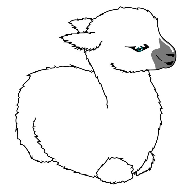 Baby-Lama