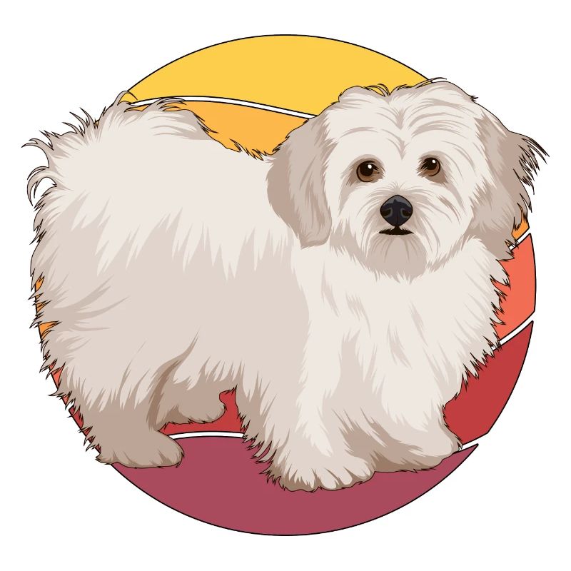 Malteser Retro Sunset