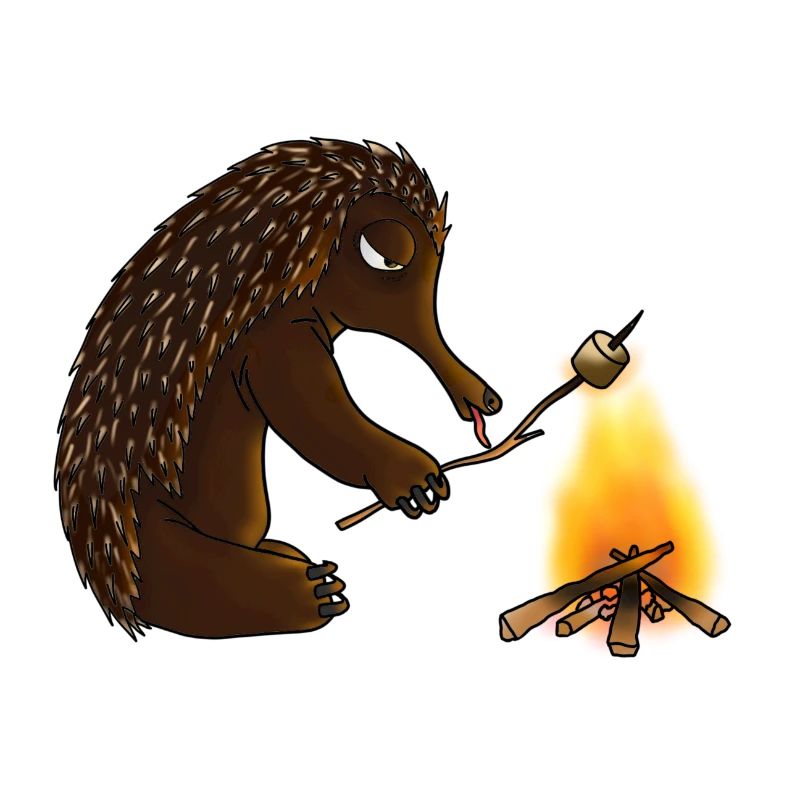 Echidna