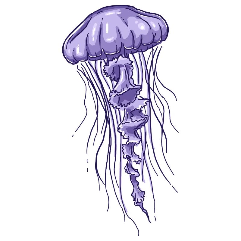 Purple Jellyfish Illustration 