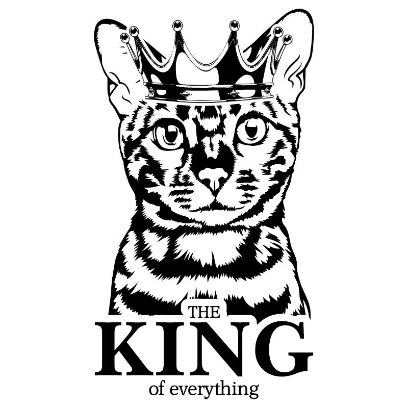 Chat du Bengale Roi de tout Chat Dire Chat