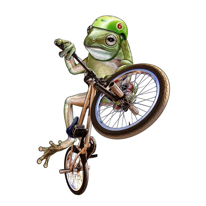 frog bmx