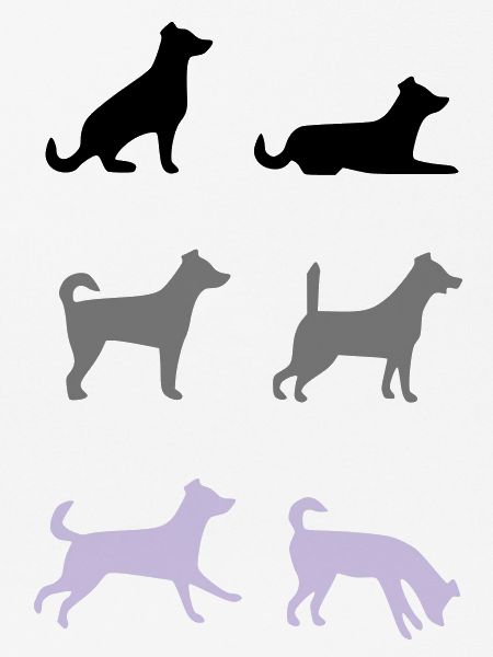 Sechs Hunde