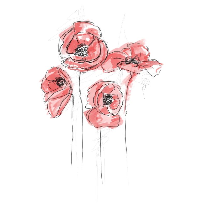Mohnblüten