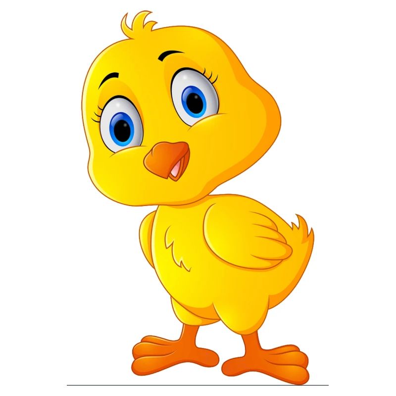 cute-chicken, süßes Hühnchen