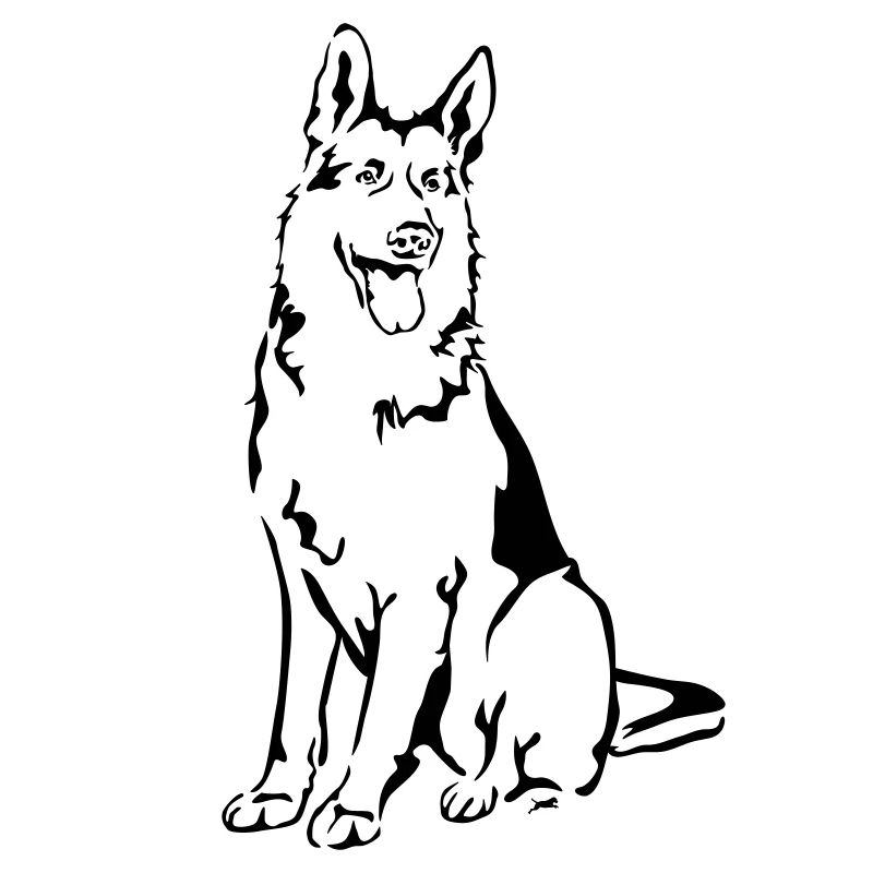 Deutscher Schäferhund