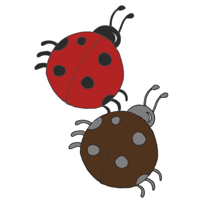 marienkäfer freunde