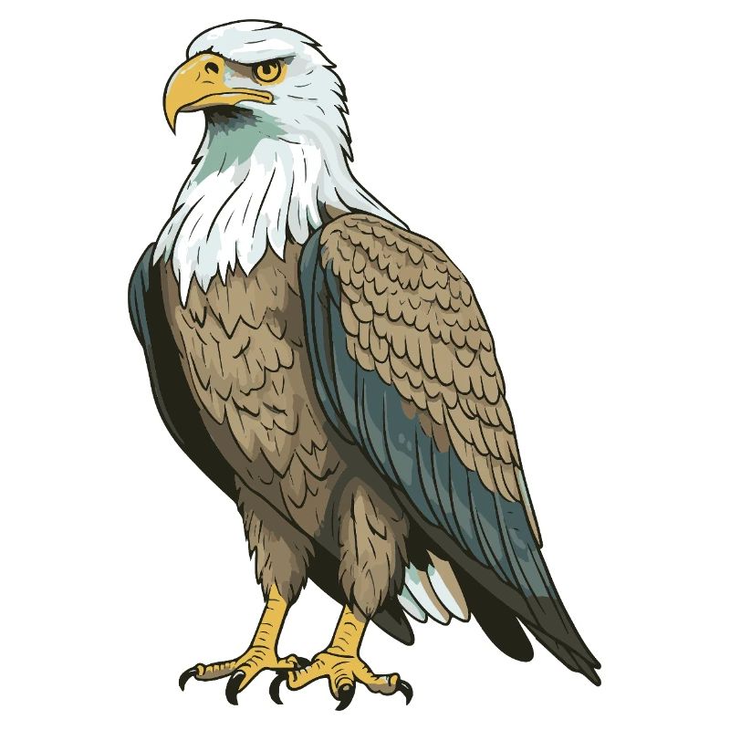 Adler Tier