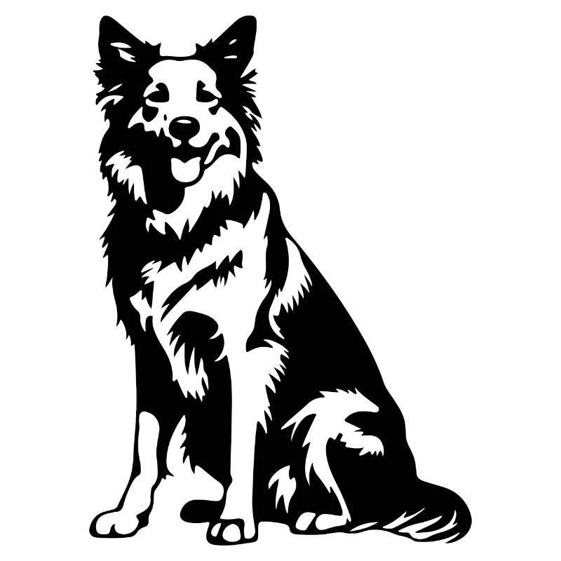 Australian Shepherd Dog