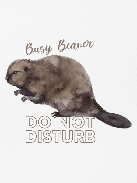Busy Beaver